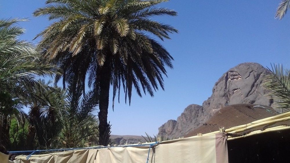 Auberge Restaurant Tissili " Oasis De Fint" Exteriér fotografie